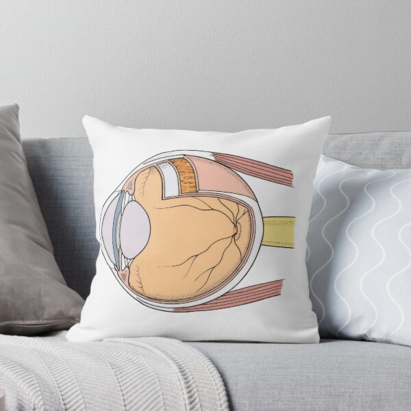 Item preview, Anatomical Illustration of Eye designed and sold by ScienceSource.