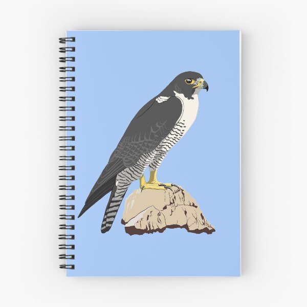 Item preview, Peregrine Falcon designed and sold by BennuBirdy.
