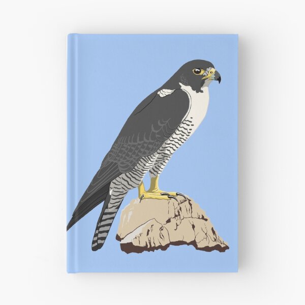Item preview, Peregrine Falcon designed and sold by BennuBirdy.