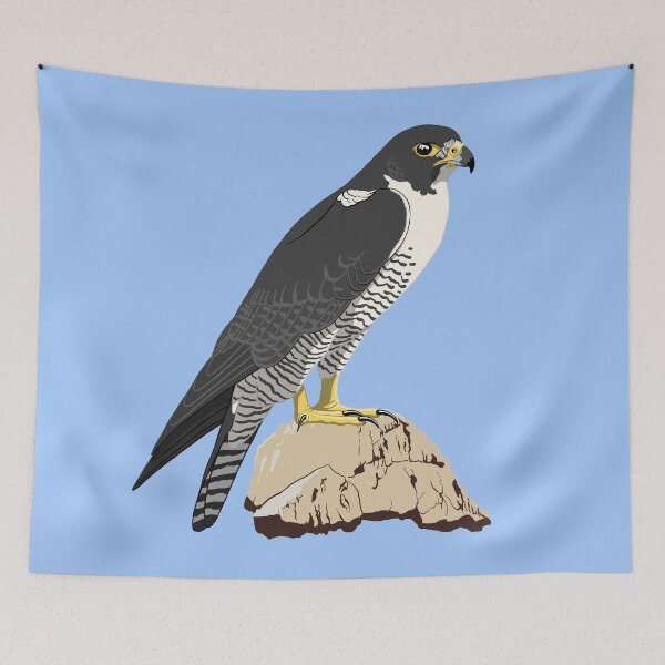 Item preview, Peregrine Falcon designed and sold by BennuBirdy.