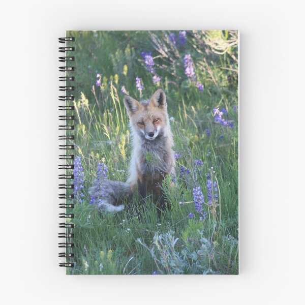 Item preview, Fox sitting designed and sold by sillylilmiss.