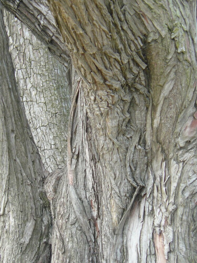 Thumbnail 4 of 4, Samsung Galaxy Phone Case, Tree Texture designed and sold by wildthing.