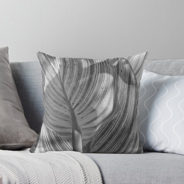 Aperçu de l'œuvre Gray Striped Plant créée et vendue par Joan Wild.