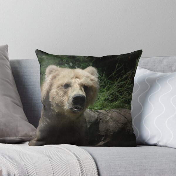 Artikelvorschau, ~The Kodiac Bear~ entworfen und verkauft von a~m ..