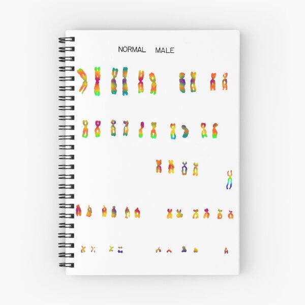 Item preview,  Normal, Human Male Chromosomes designed and sold by ScienceSource.