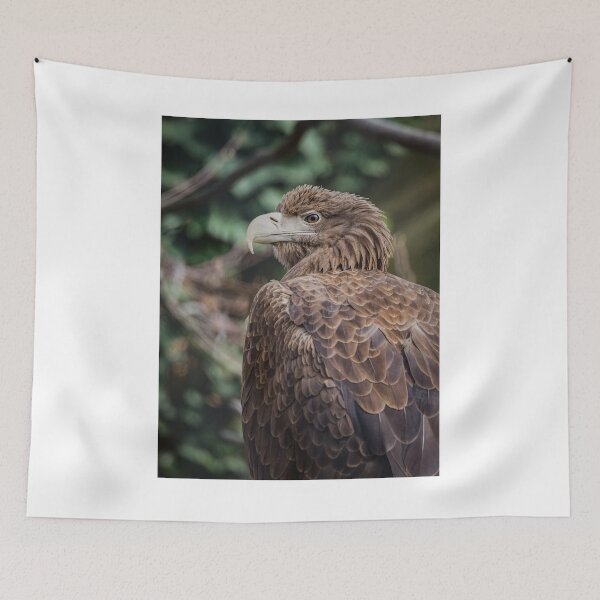 Item preview, White-tailed eagle (White-tailed sea-eagle) designed and sold by brambillasimone.