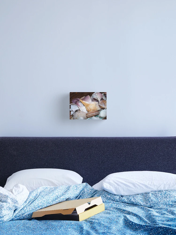 Thumbnail 2 of 3, Canvas Print, Shells Shells Shells designed and sold by Jonice.