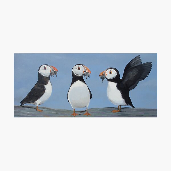 Item preview, Puffins designed and sold by Andy  Housham.