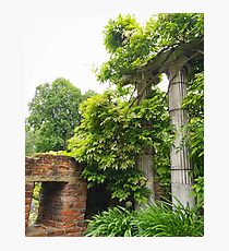 Ionic Photographic Print