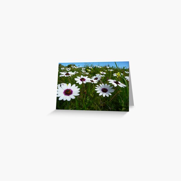 Spring! Greeting Card