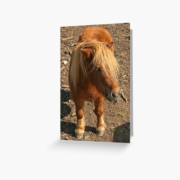 Item preview, Shetland Pony designed and sold by Robert Abraham.