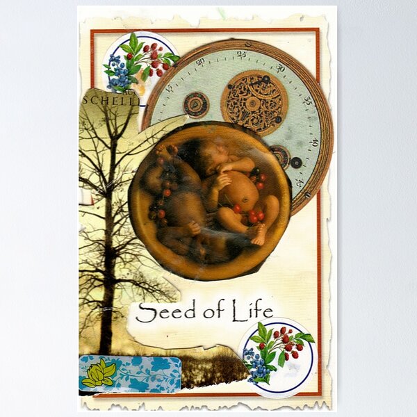 Item preview, Seed(s) Of Life designed and sold by RobynLee.