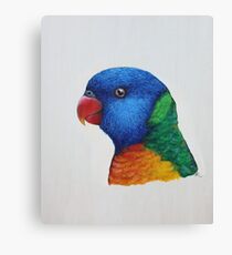 Rainbow Lorikeet Canvas Print