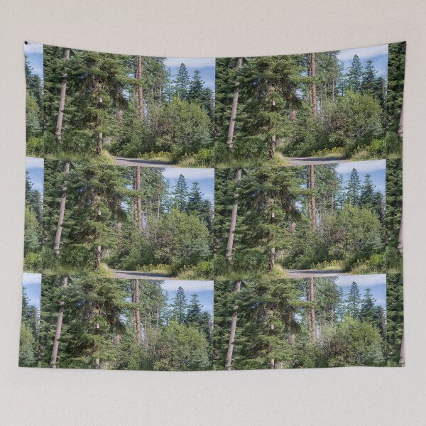 Item preview, walk in the woods designed and sold by MoreGoodArt.