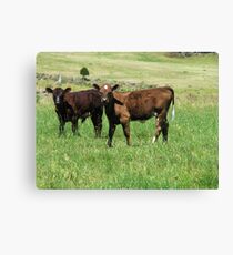 Untitled Canvas Print
