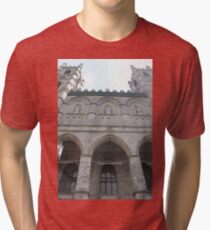 Notre-Dame Basilica, architecture, church, cathedral, building, religion, basilica, landmark, detail, old, city, gothic, stone, ancient, travel, arch, facade, medieval, monument, historic, sculpture Tri-blend T-Shirt