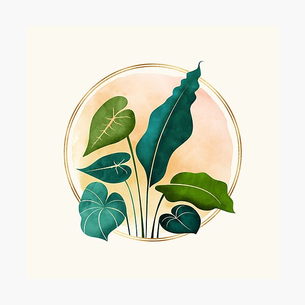 Item preview, Tropical Garden - inspired by Disney Aulani designed and sold by Enchanted Adventure .