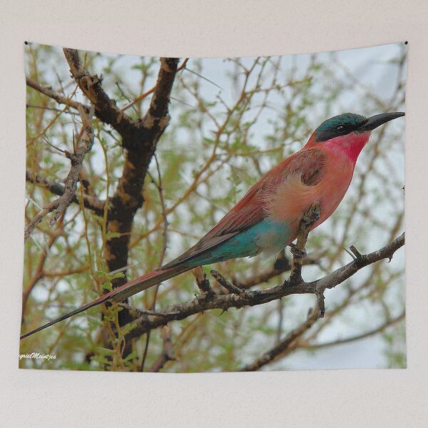 Item preview, (Southern) Carmine Bee-eater Merops nubicoides designed and sold by Magriet Meintjes.