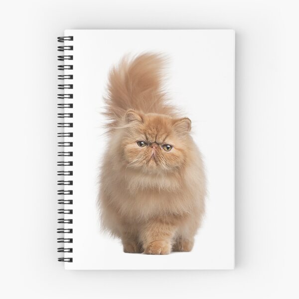 Item preview, Cat 4 designed and sold by serbandeira.