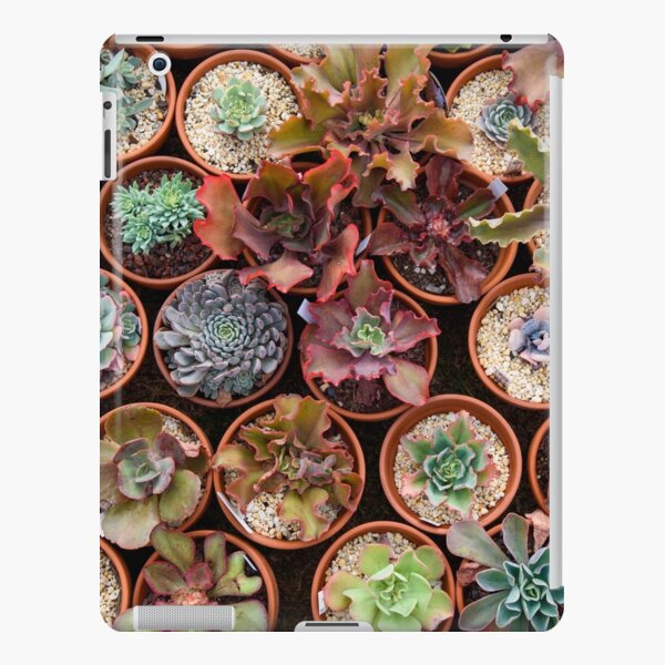 A wall of succulents iPad Snap Case