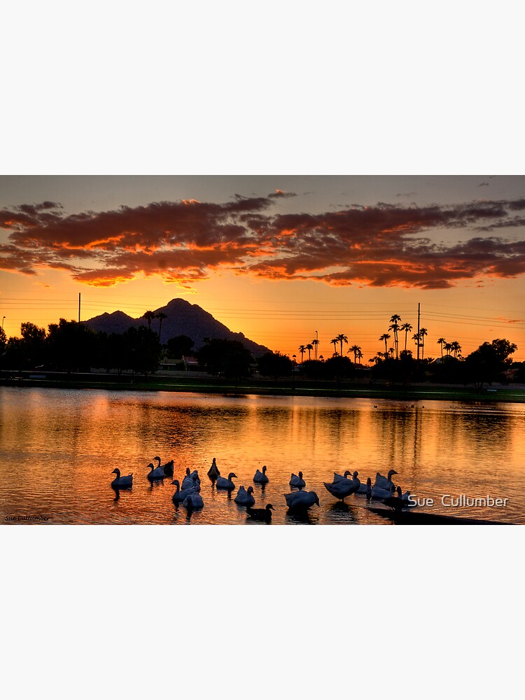 Sunset under Camelback by scullumber