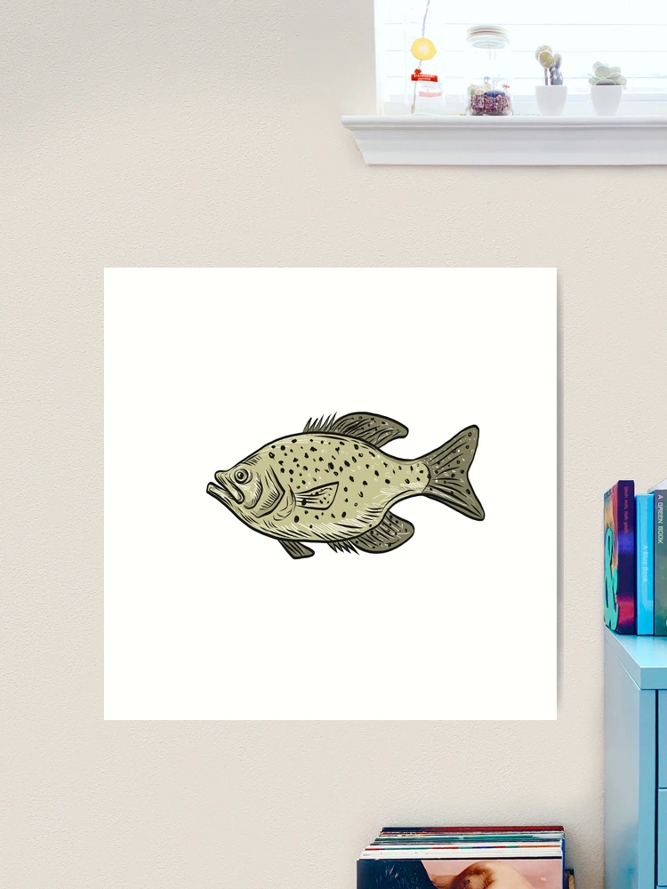 Calico Bass Fish Print, Vintage Fishing Poster Wall Art Decor