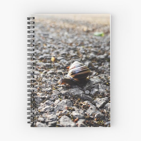 Item preview, The Snail designed and sold by neilirving.