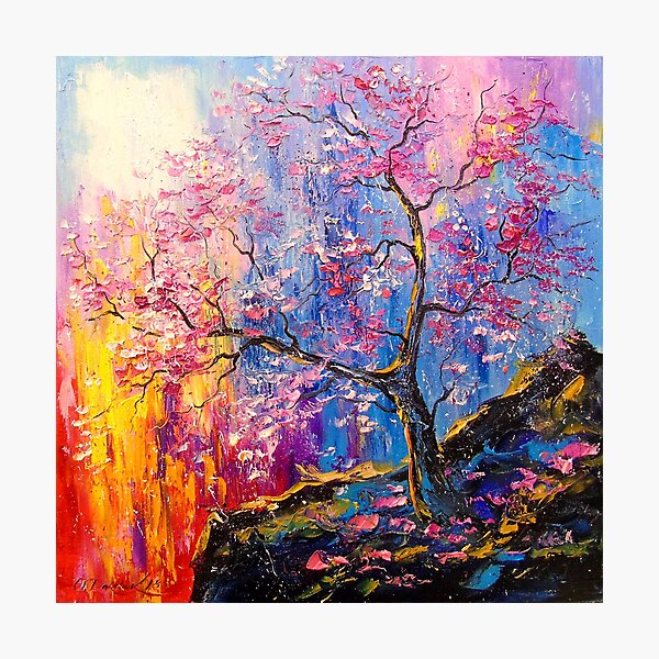 Sakura bloom Photographic Print