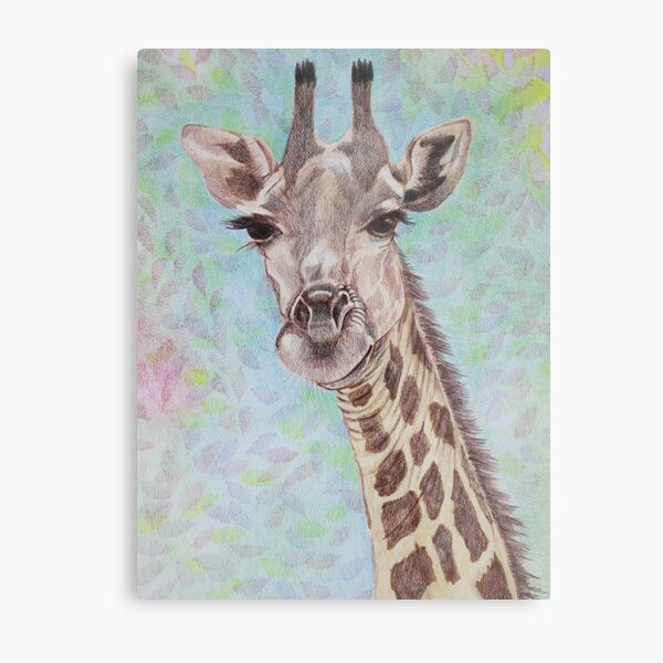 African Giraffe Metal Print