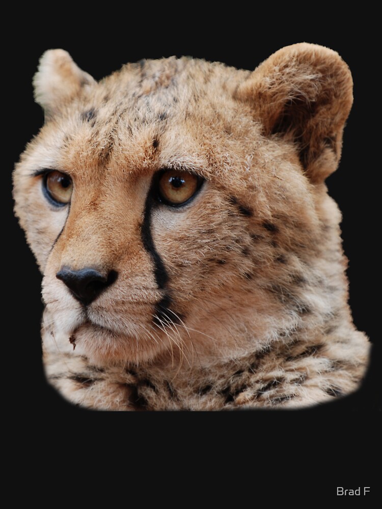 Cheetah Portrait T-Shirt by bfra