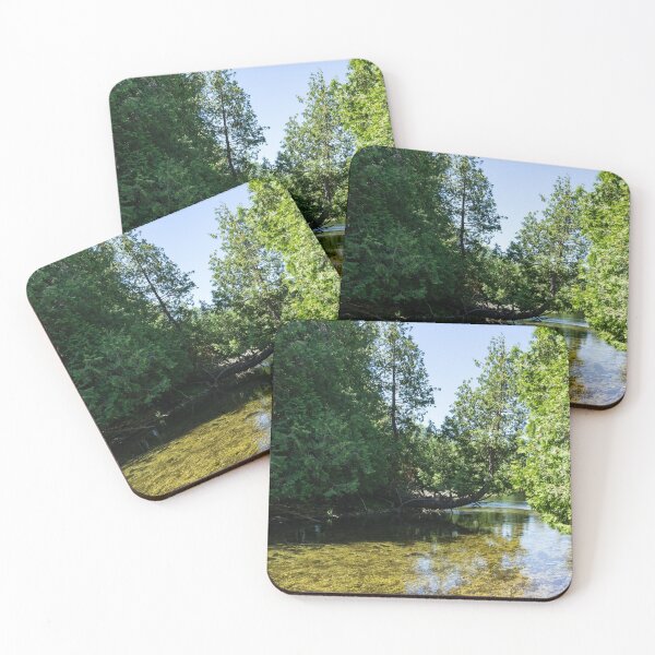 Item preview, Cypress Forest River - the Silky Sunshine of Summer designed and sold by Georgia Mizuleva.