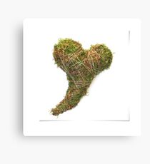 herz Canvas Print