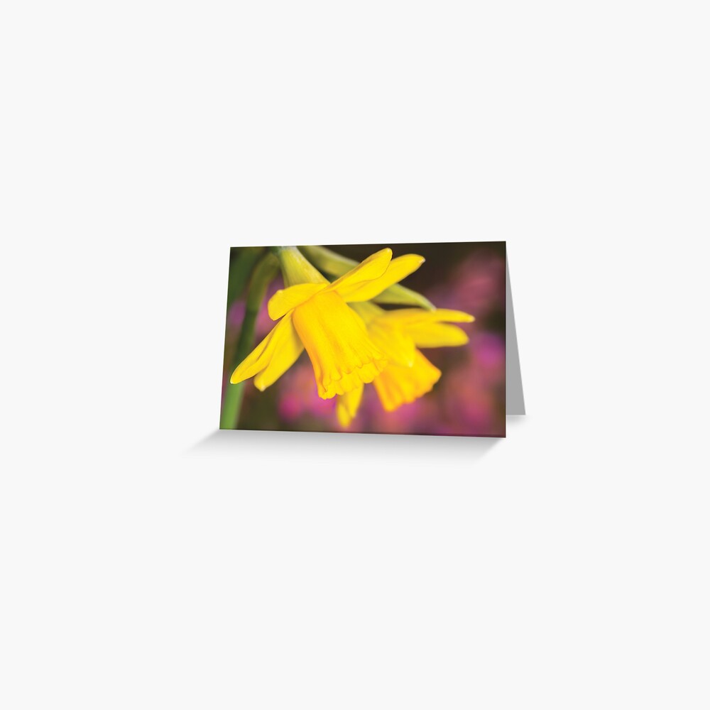 Item preview, Greeting Card designed and sold by RichardG-W.