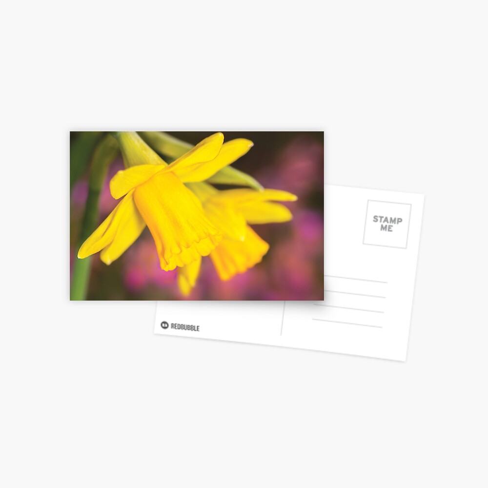 Item preview, Postcard designed and sold by RichardG-W.