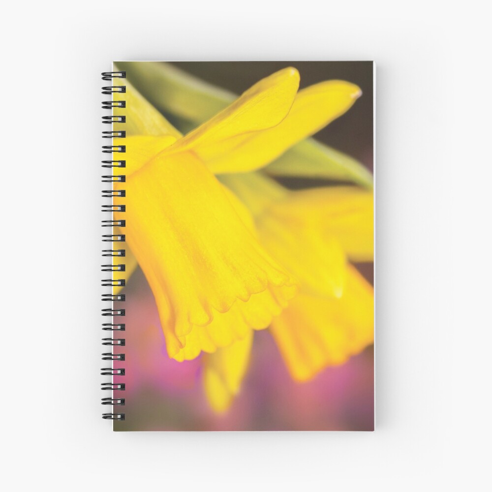 Item preview, Spiral Notebook designed and sold by RichardG-W.