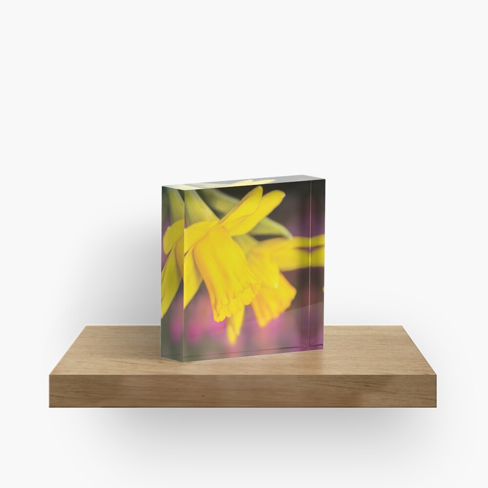 Item preview, Acrylic Block designed and sold by RichardG-W.
