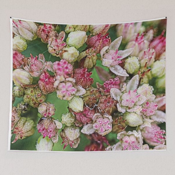 Item preview, Cool Floral gifts - Small pink macro flowers of the inflorescence showy stonecrop (Sedum spectabile) designed and sold by r-silver.