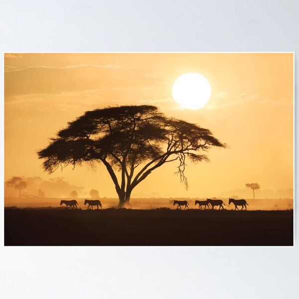 African Sunset Poster