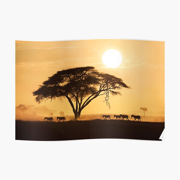 African Sunset Poster