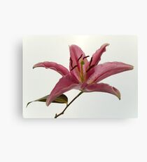 Thanks to friends Canvas Print