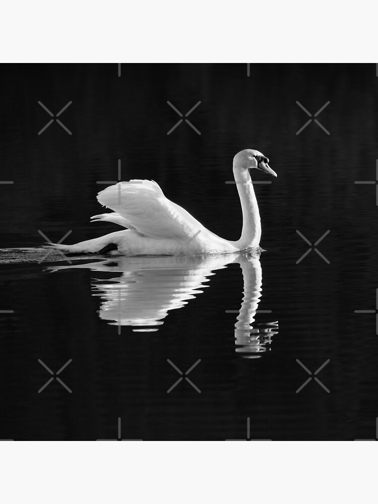 Thumbnail 2 of 2, Tote Bag, Classic Swan designed and sold by RichardG-W.