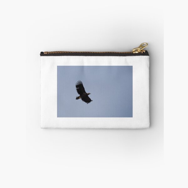 Item preview, Scottish Sea Eagle - Isle of Mull designed and sold by Tony Skerl.