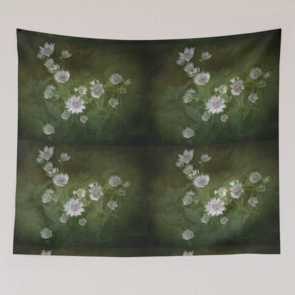 Item preview, Astrantia designed and sold by Carol Bleasdale.