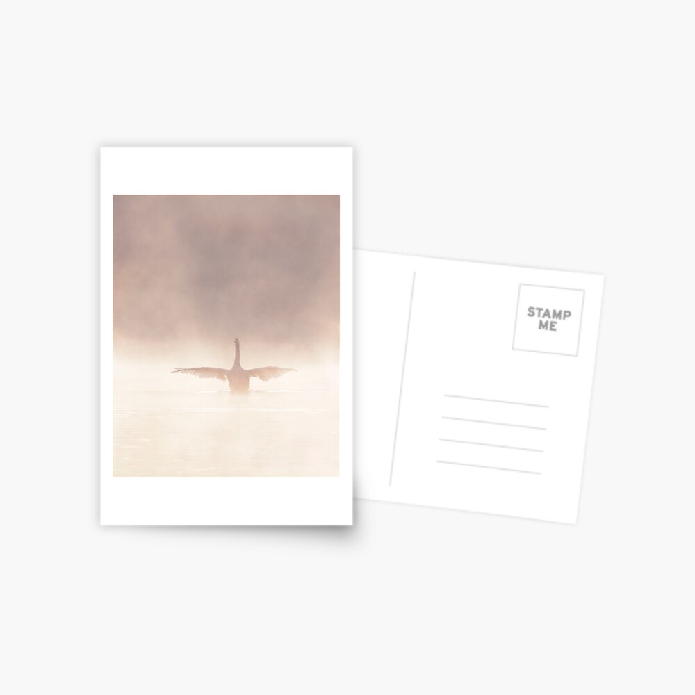 Item preview, Postcard designed and sold by RichardG-W.