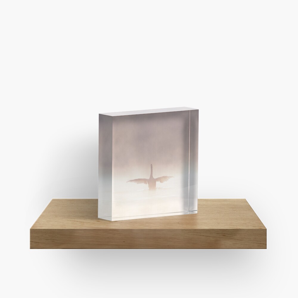Item preview, Acrylic Block designed and sold by RichardG-W.