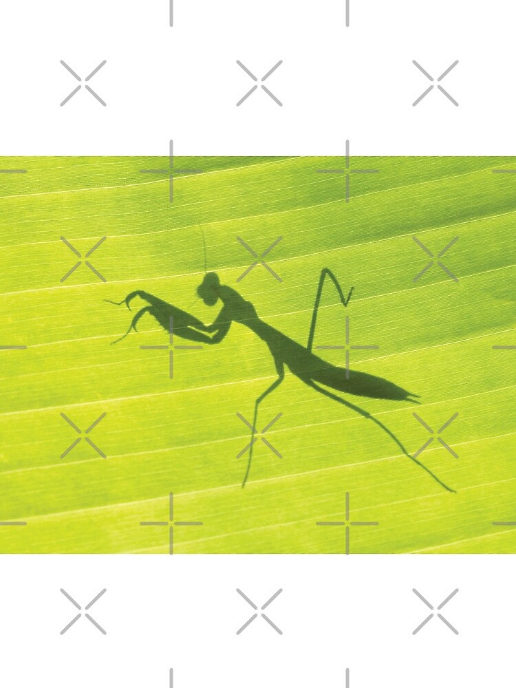 Thumbnail 5 of 5, Graphic T-Shirt, Shadow of Praying Mantis designed and sold by RichardG-W.