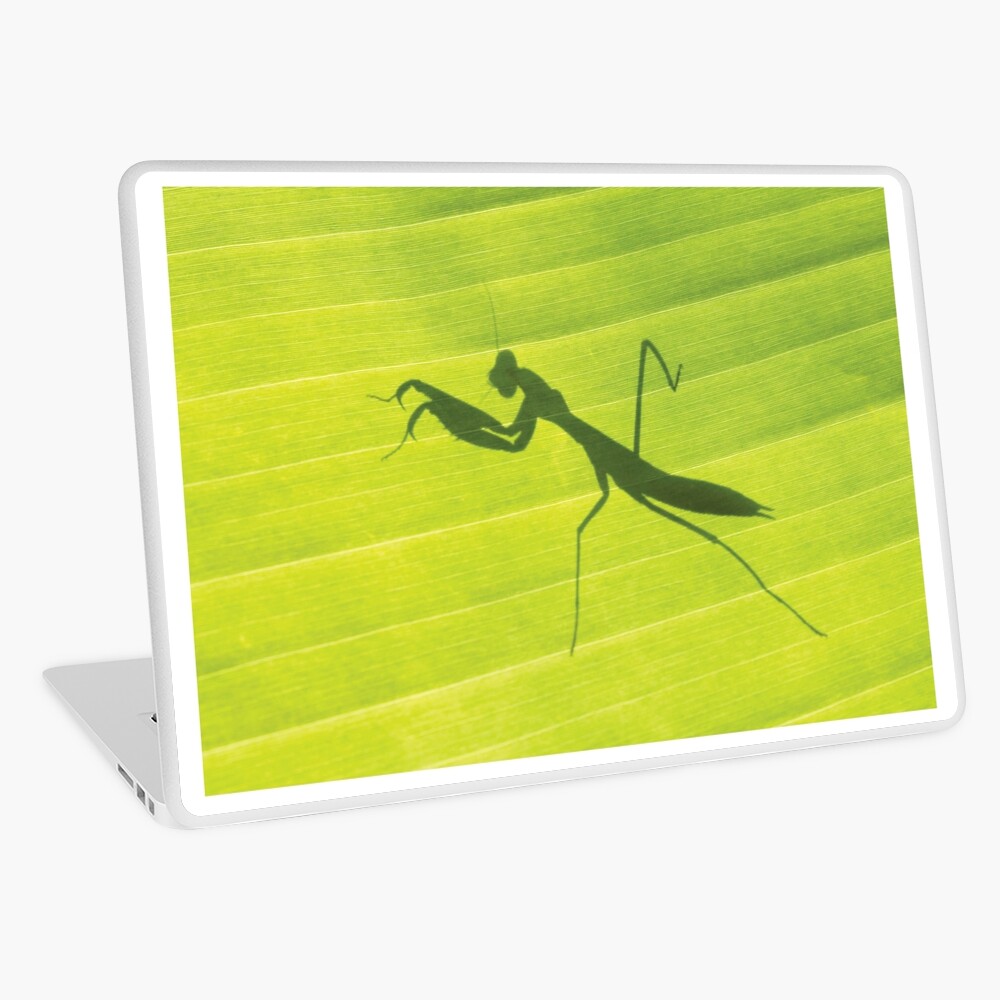 Item preview, Laptop Skin designed and sold by RichardG-W.