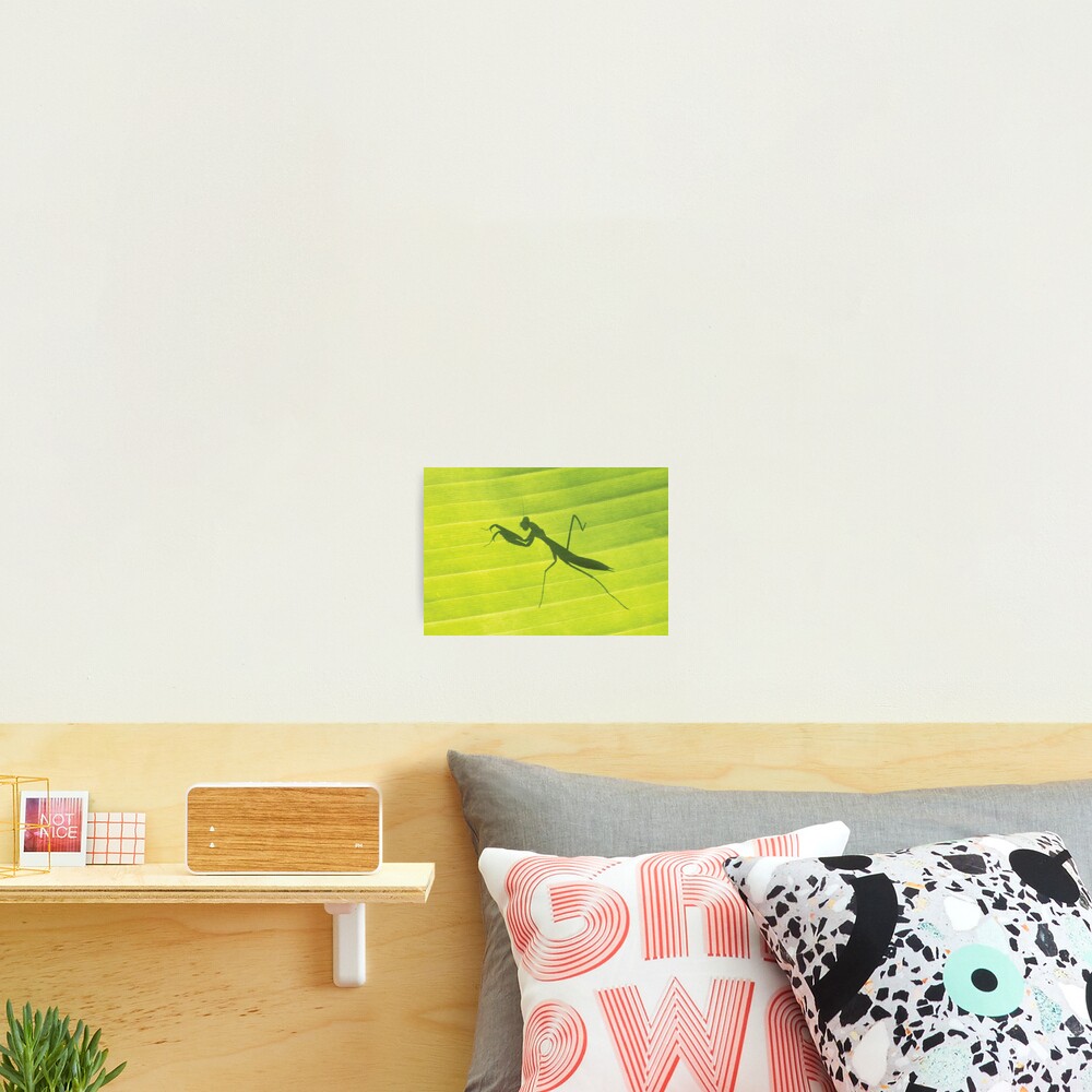 Item preview, Photographic Print designed and sold by RichardG-W.