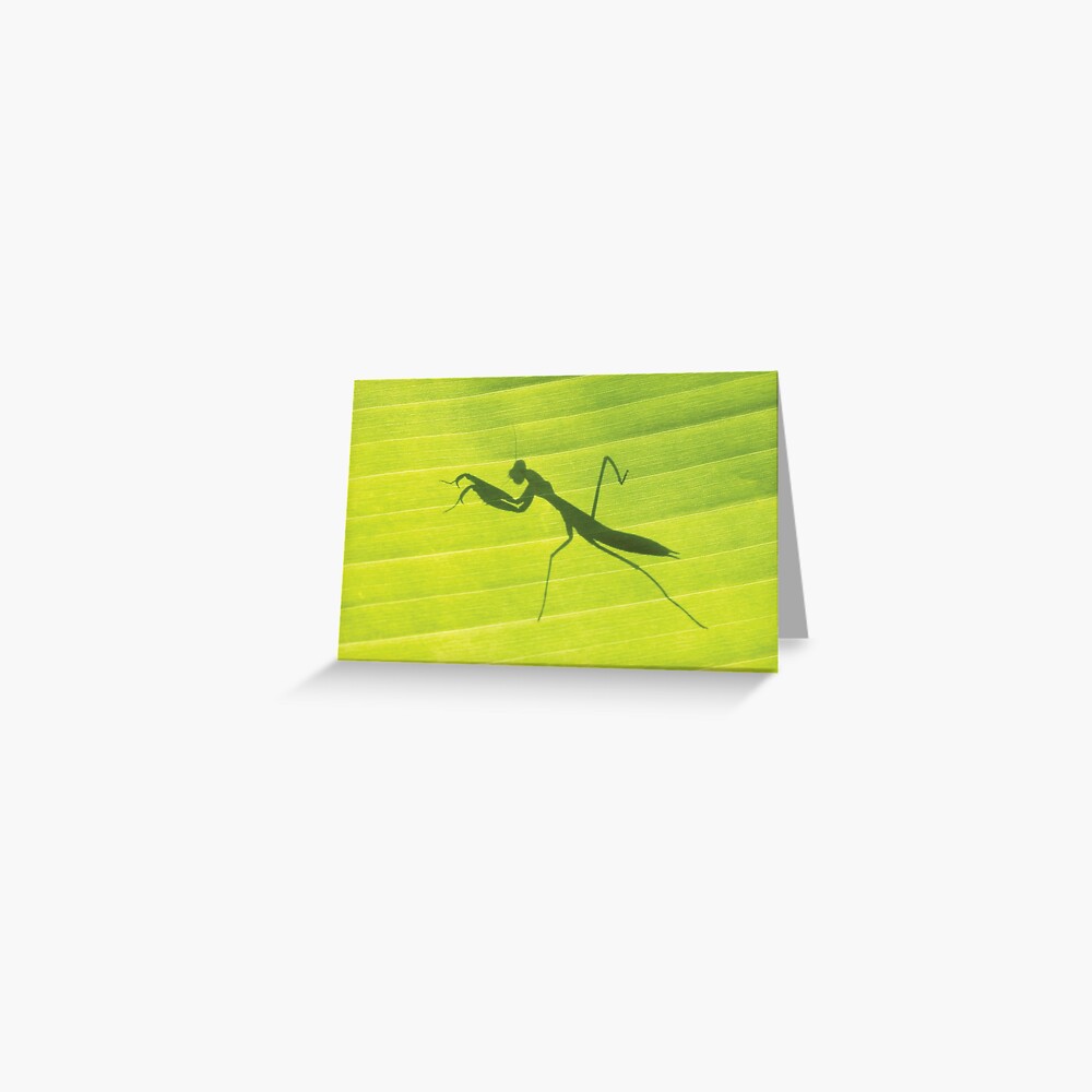 Item preview, Greeting Card designed and sold by RichardG-W.