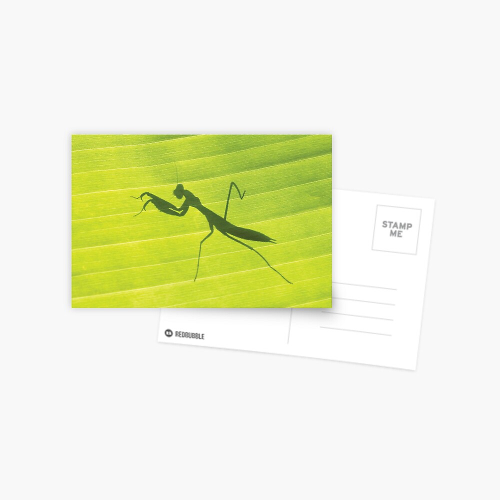 Item preview, Postcard designed and sold by RichardG-W.